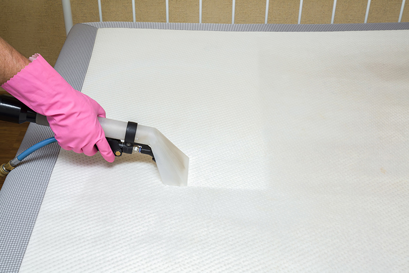 Fresh Dreams: Professional Mattress Cleaning Services