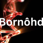 Bornôhd