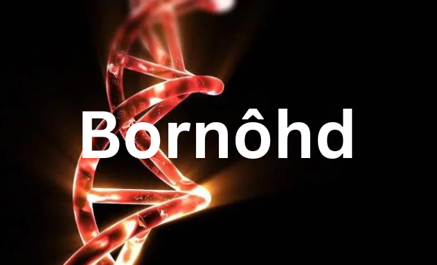 Bornôhd: Unraveling the Essence of a Unique Experience