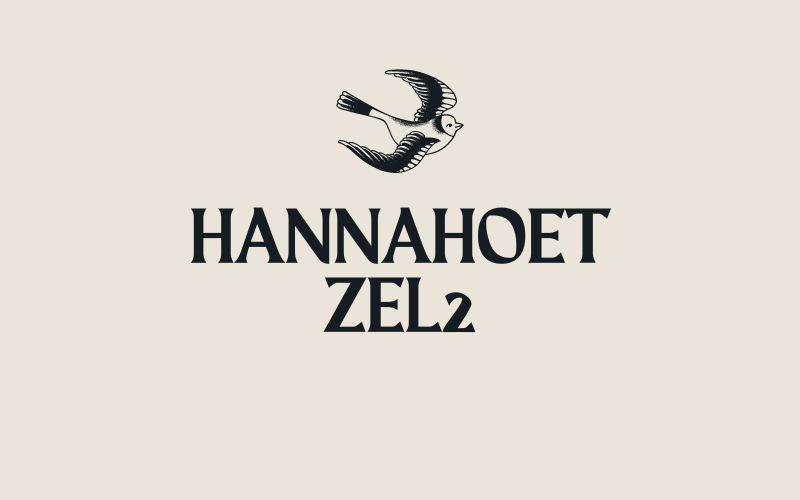 hannahoetzel2: Unlocking the Potential