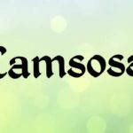 Camsosa