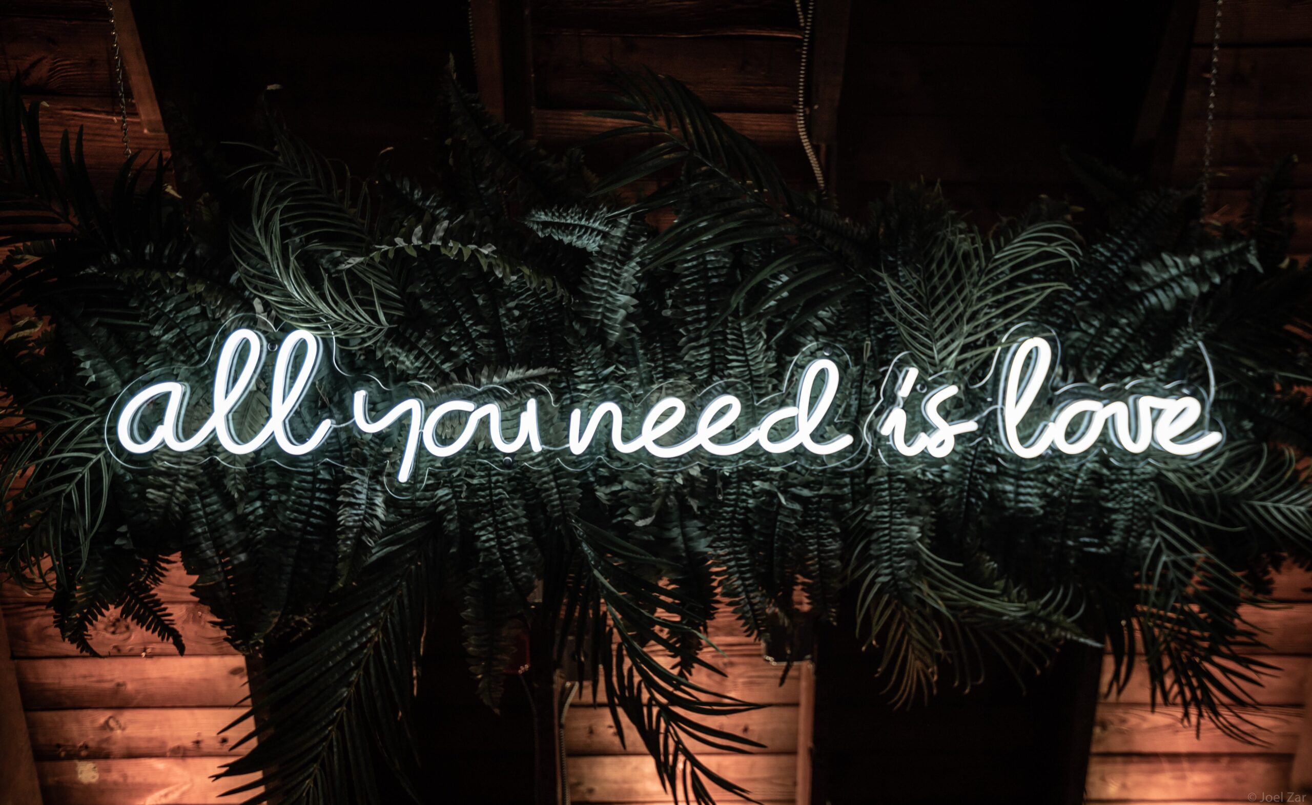 Why Custom Neon Signs Are the Best Gift for Someone You Love?
