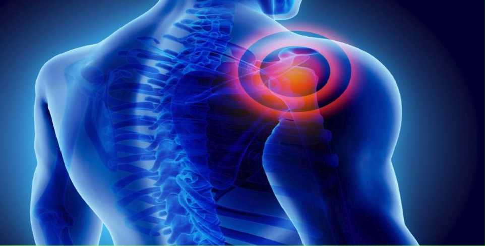 Healing Beyond Surgery: Exploring Stem Cell Therapy For Rotator Cuff Injuries