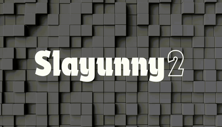 Slayunny2: A Comprehensive Guide