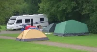 taunton victoria park unauthorised traveller encampment